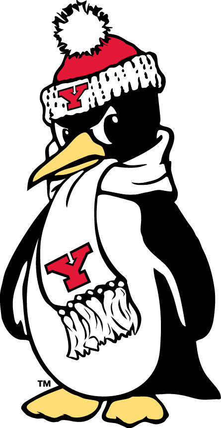 Youngstown State Penguins 1993-Pres Alternate Logo v4 iron on transfers for clothing